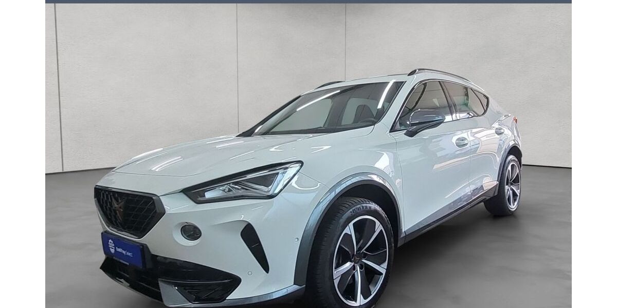 Cupra Formentor 55.100 km 23.990 &euro; Rendsburg 24768