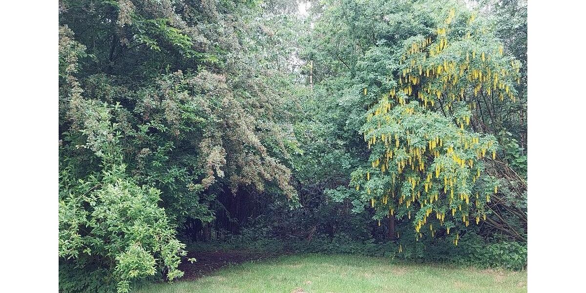 Einfamilienhaus Owschlag - 5 Zimmer, 115 m&sup2;, 466.000&euro; | Angebot:26040915