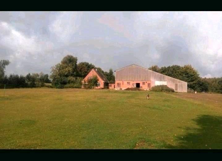 Bauernhaus, Landhaus Wester-Ohrstedt Ohrstedt - 6 Zimmer, 200 m&sup2;, 399.990&euro; | Angebot:26603134