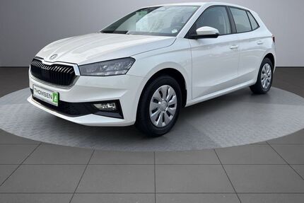 Skoda Fabia 1.100 km 17.480 &euro; Kropp 24848