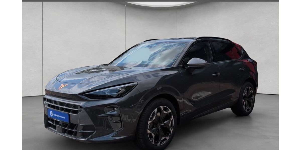 Cupra Terramar 8.500 km 42.690 &euro; Rendsburg 24768