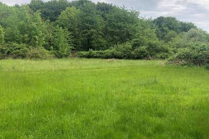 Grundstück Ascheffel - 85.000&euro; | Angebot:25971050