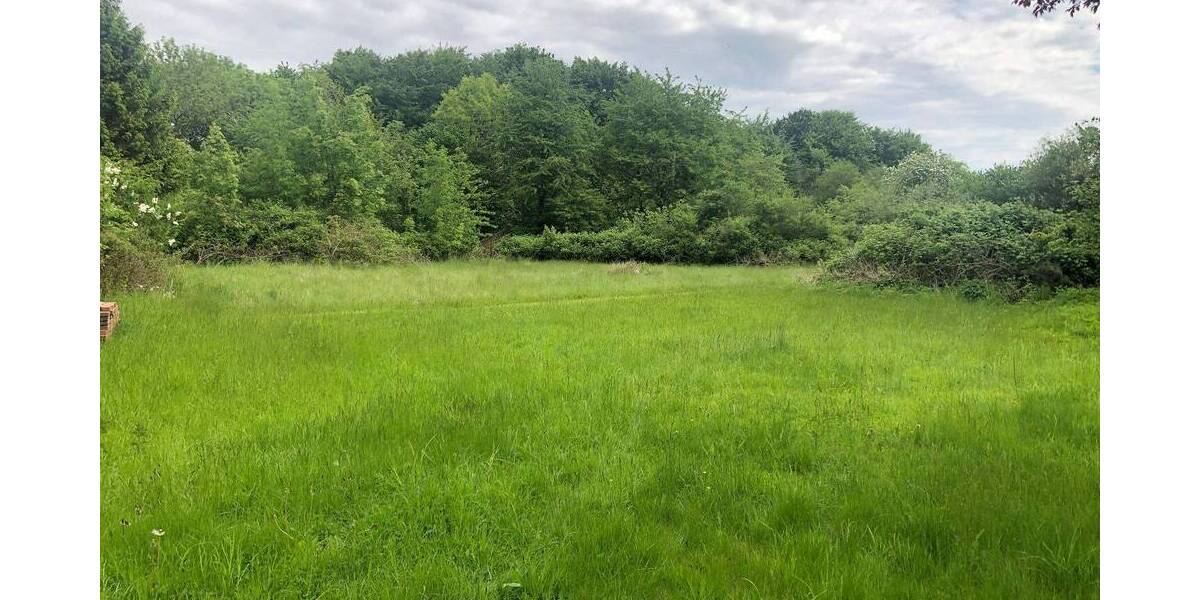 Grundstück Ascheffel - 85.000&euro; | Angebot:25971050