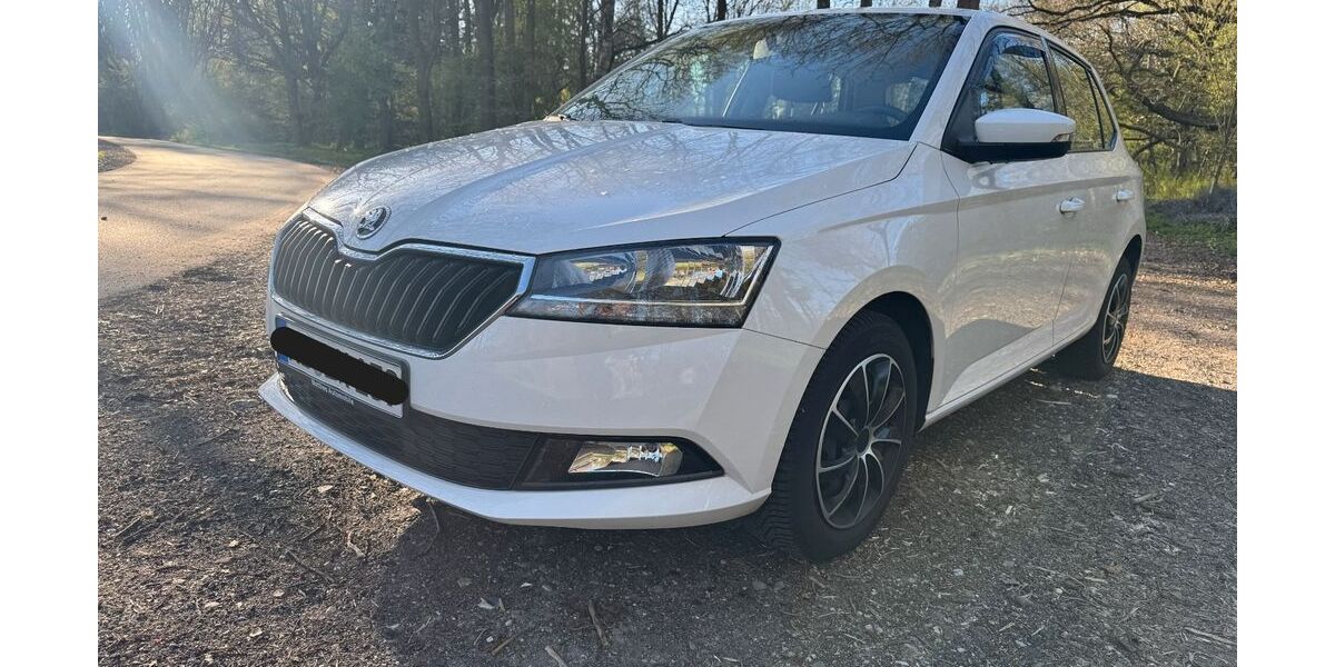 Skoda Fabia 114.000 km 7.200 &euro; Owschlag 24811