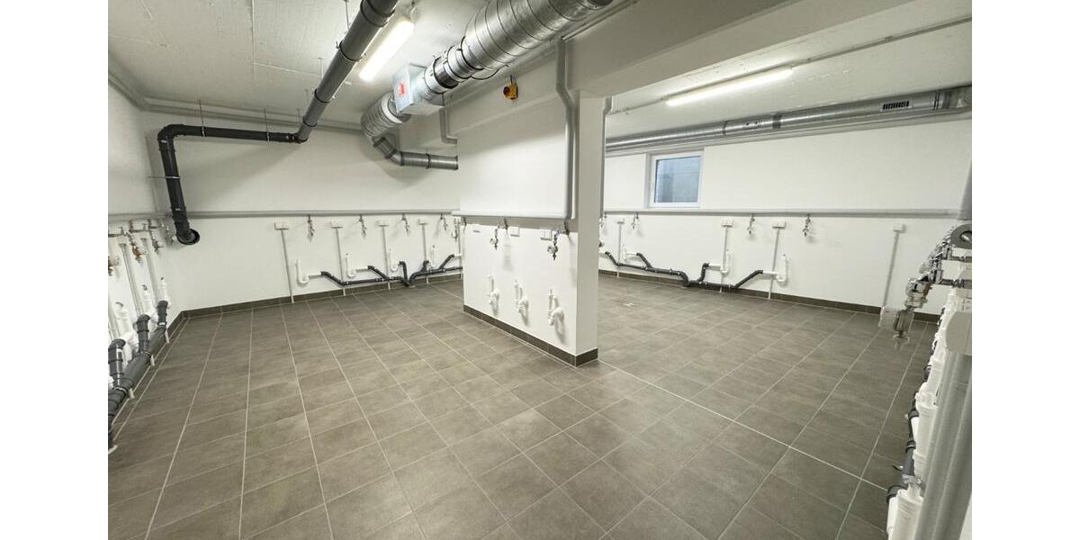 Terrassenwohnung Schleswig - 2 Zimmer, 64 m&sup2;, 1.182&euro; | Angebot:25805778