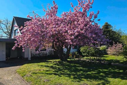 Haus Fahrdorf - 8 Zimmer, 230 m&sup2;, 499.995&euro; | Angebot:24883690