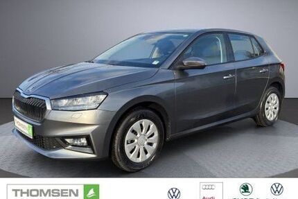 Skoda Fabia 1.100 km 17.680 &euro; Kropp 24848