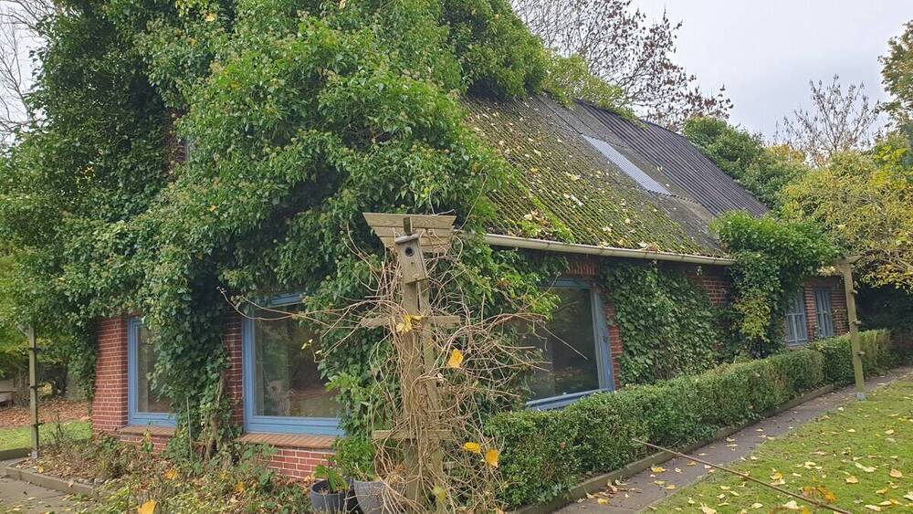 Bauernhaus, Landhaus Rabenkirchen-Faulück Faulück - 4 Zimmer, 150 m&sup2;, 199.000&euro; | Angebot:25797257