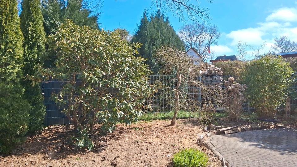 Dachgeschoßwohnung Kappeln - 2 Zimmer, 52 m&sup2;, 690&euro; | Angebot:25962037