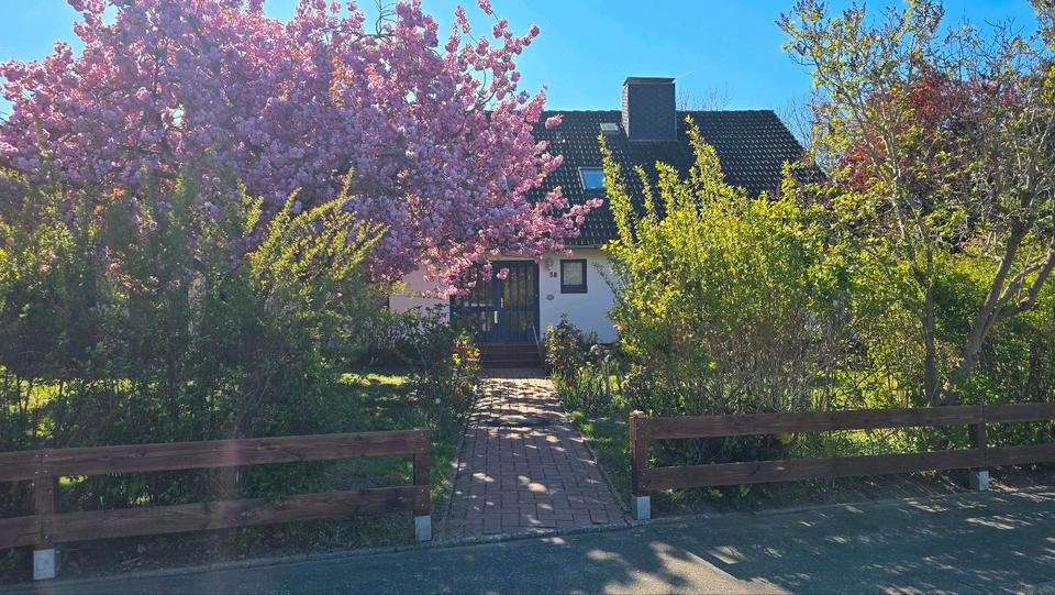 Einfamilienhaus Fahrdorf - 8 Zimmer, 230 m&sup2;, 499.995&euro; | Angebot:24883690