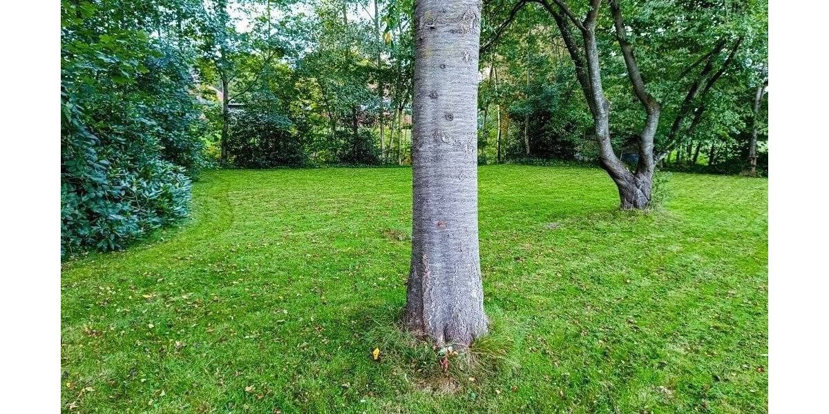 Einfamilienhaus Erfde - 5 Zimmer, 143 m&sup2;, 240.000&euro; | Angebot:25770946