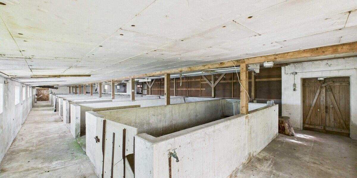 Mehrfamilienhaus, Wohnhaus Mohrkirch - 7 Zimmer, 142 m&sup2;, 189.000&euro; | Angebot:25663342