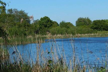 Grundstück Owschlag - 2.550.000&euro; | Angebot:25987083