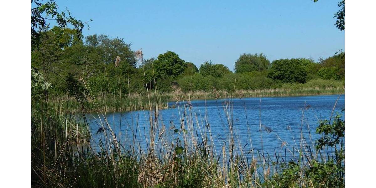 Grundstück Owschlag - 2.550.000&euro; | Angebot:25987083