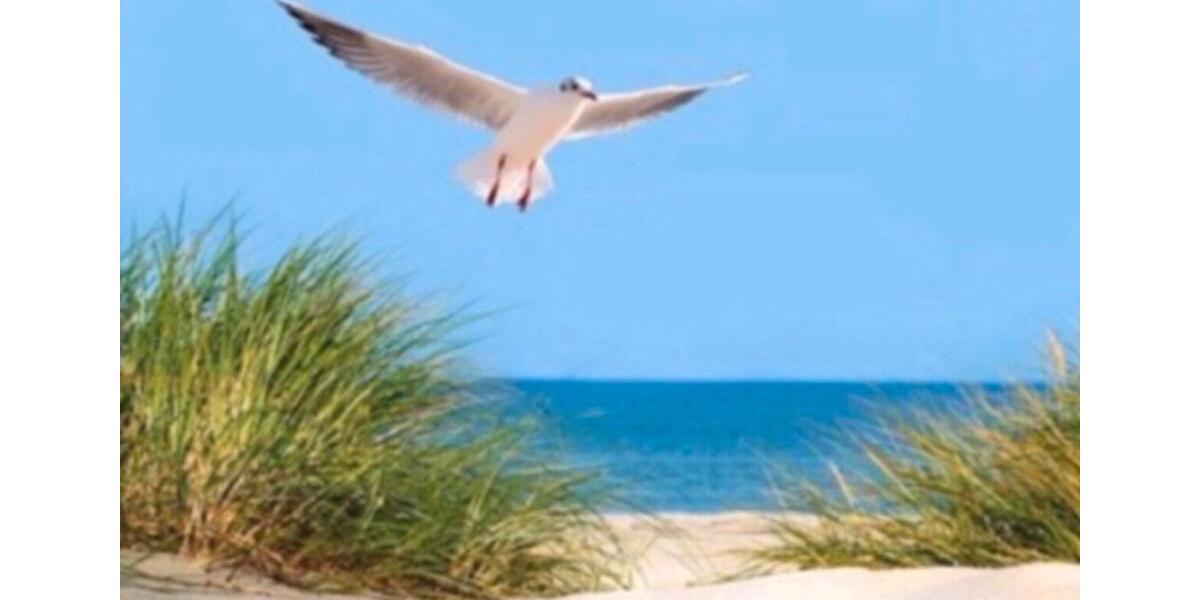 Einfamilienhaus Großenwiehe - 4 Zimmer, 125 m&sup2;, 520.000&euro; | Angebot:26096219