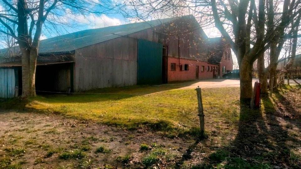 Bauernhaus, Landhaus Wester-Ohrstedt Ohrstedt - 6 Zimmer, 200 m&sup2;, 399.990&euro; | Angebot:26603134