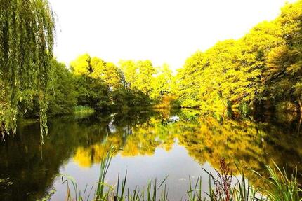 Haus Großenwiehe - 1.850.000&euro; | Angebot:24245323