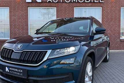 Skoda Kodiaq 69.990 km 23.990 &euro; Schleswig 24837