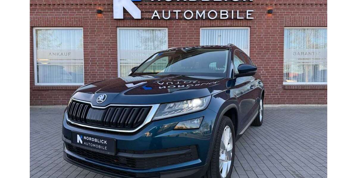 Skoda Kodiaq 69.990 km 23.990 &euro; Schleswig 24837