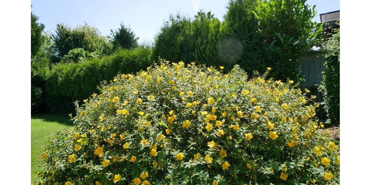 An der Ostsee! Schöne & gepflegter Bungalow in ruhiger Lage in 24972 Steinbergkirche zu verkaufen. - Bungalow Steinbergkirche | Angebot:21171796