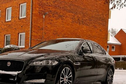 Jaguar XF 155.000 km 16.000 &euro; Rendsburg 24768