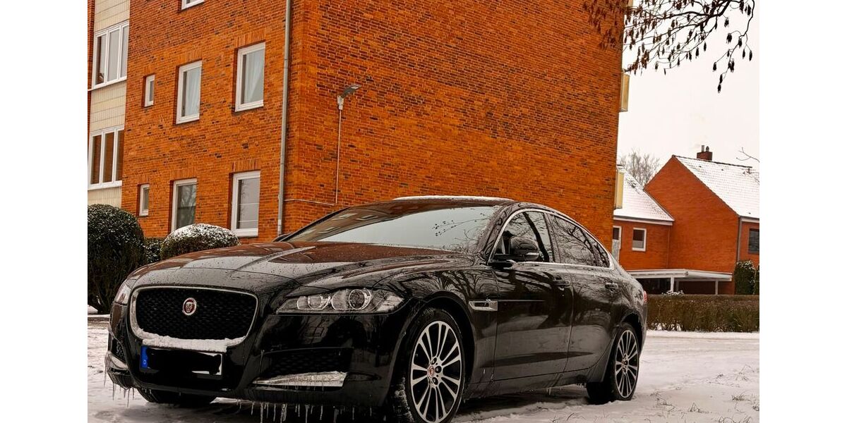 Jaguar XF 155.000 km 16.000 &euro; Rendsburg 24768