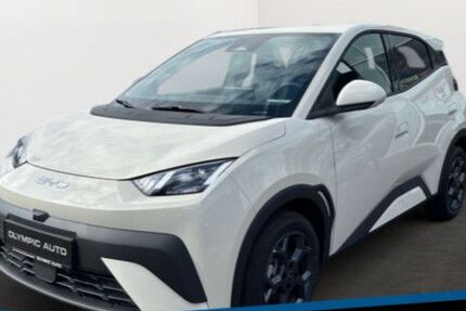 BYD DOLPHIN 3.000 km 24.990 &euro; Westerrönfeld 24784