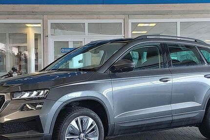 Skoda Karoq 29.604 km 21.790 &euro; Steinbergkirche 24972