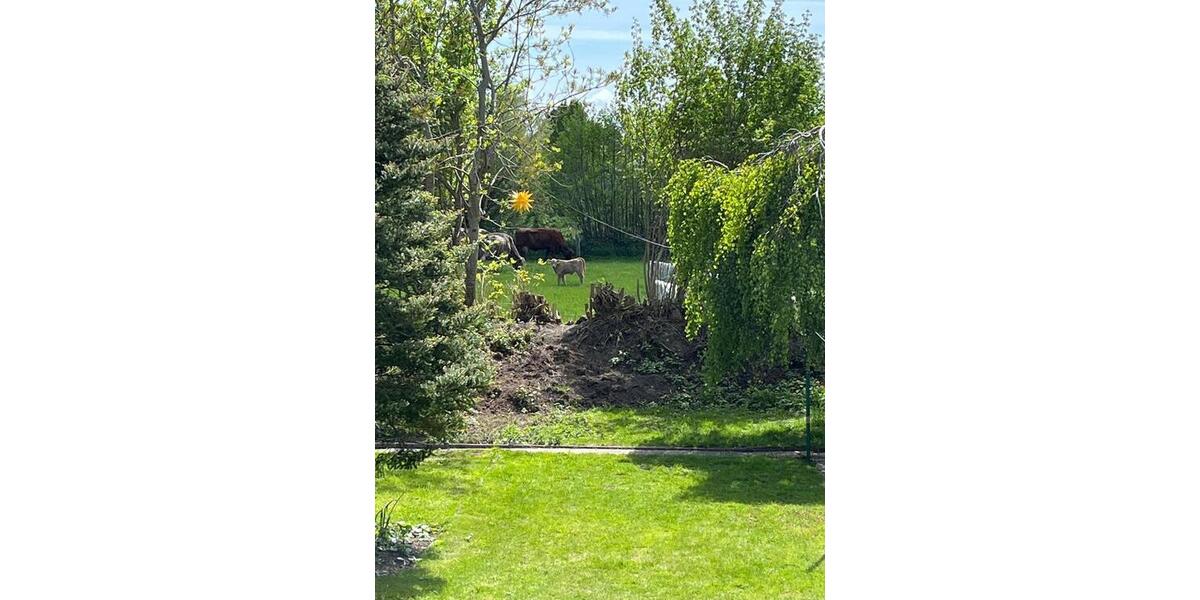 Einfamilienhaus Kappeln - 5 Zimmer, 138 m&sup2;, 450.000&euro; | Angebot:26031653