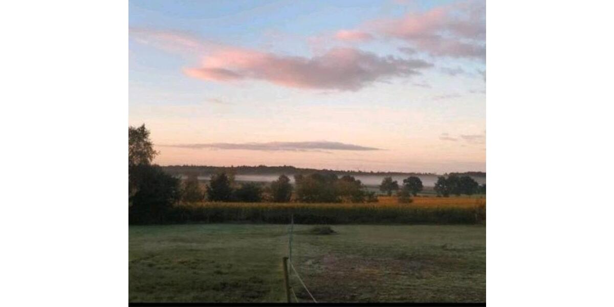 Bauernhaus, Landhaus Wester-Ohrstedt Ohrstedt - 6 Zimmer, 200 m&sup2;, 390.000&euro; | Angebot:25941279