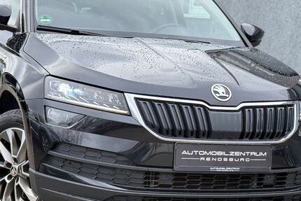 Skoda Karoq 149.000 km 19.999 &euro; Rendsburg 24768