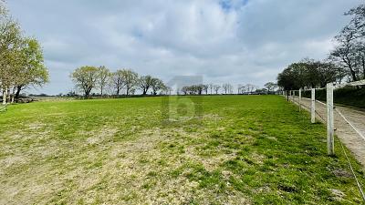 RESTHOF AM REITERHOF - Einfamilienhaus Oldersbek | Angebot:25537587