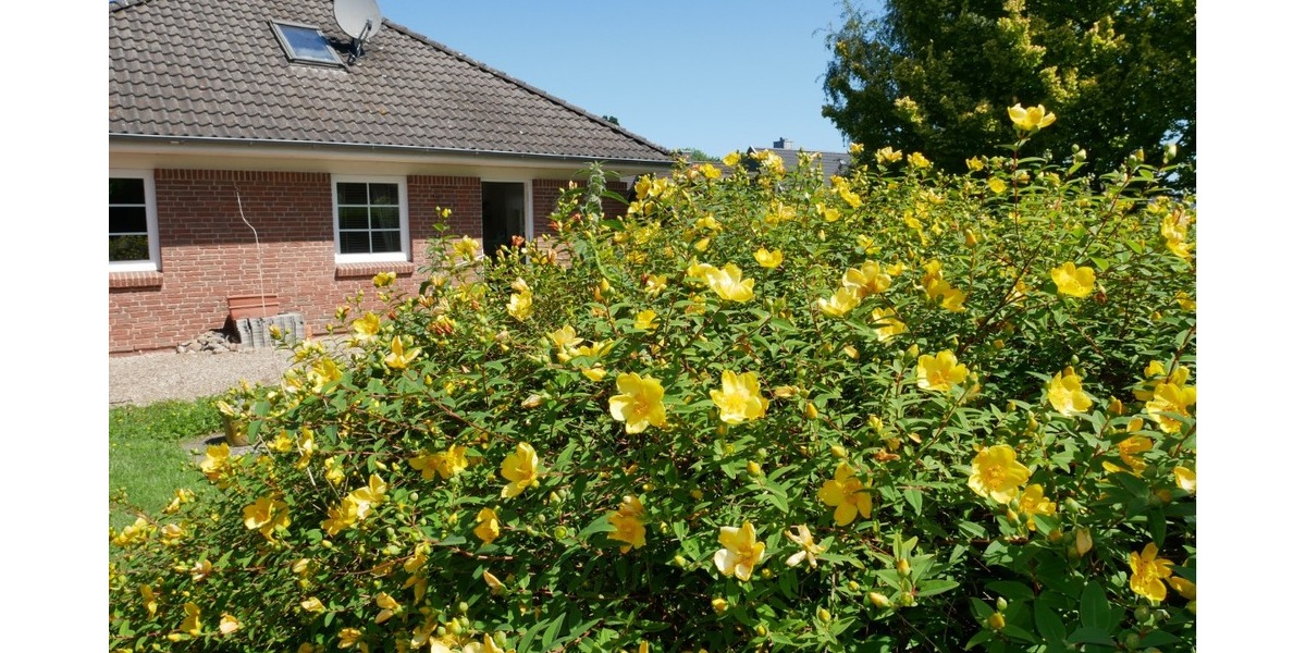 Geltinger Bucht! Gepflegter Bungalow in ruhiger Lage in 24972 Steinbergkirche zu verkaufen. - Einfamilienhaus Steinbergkirche | Angebot:21383739