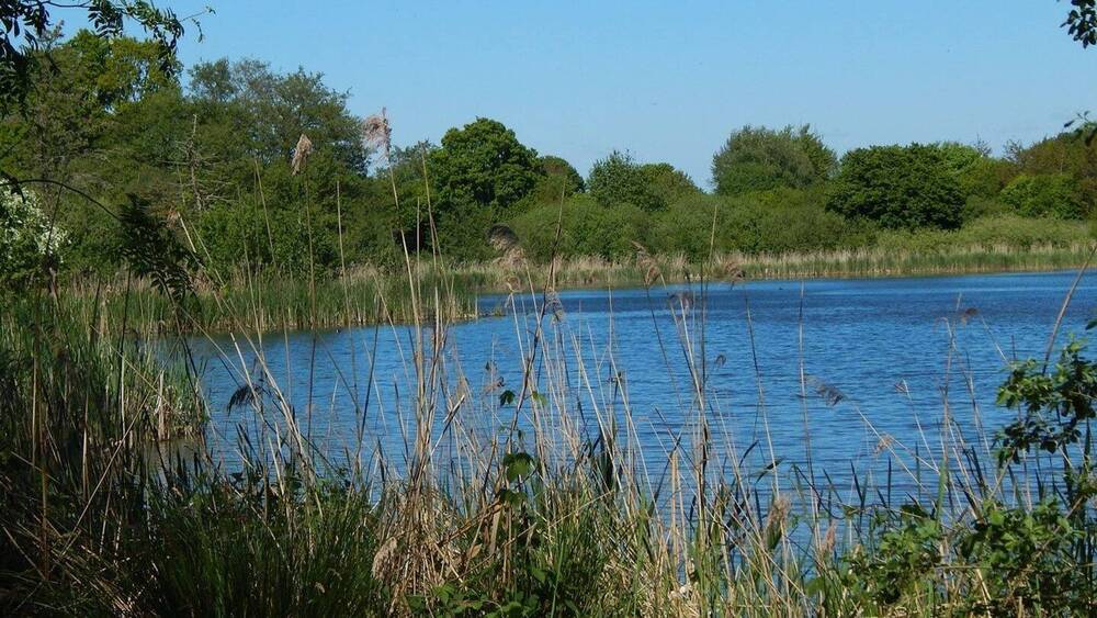 Grundstück Owschlag - 1.100.000&euro; | Angebot:26029904