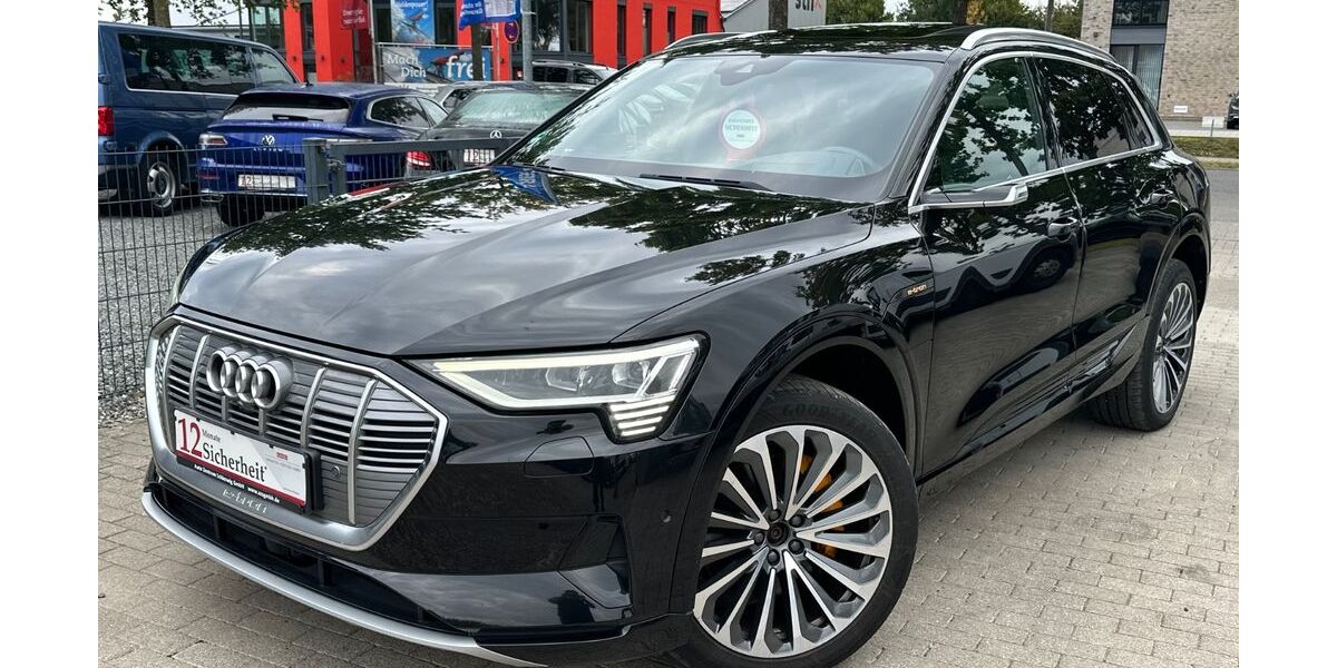 Audi e-tron 111.000 km 28.990 &euro; Schleswig 24837