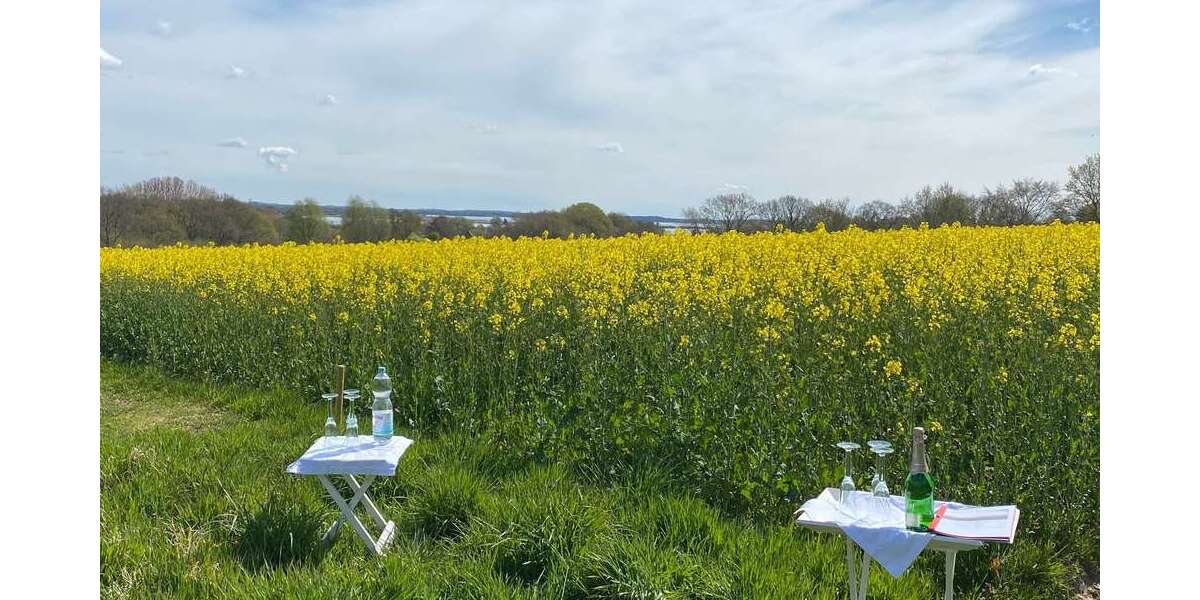 Grundstück Schleswig - 179.000&euro; | Angebot:24567698