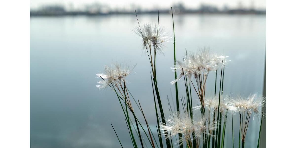 Einfamilienhaus Kappeln - 3 Zimmer, 97 m&sup2;, 589.000&euro; | Angebot:25592093