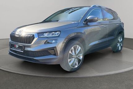 Skoda Karoq 1.026 km 33.990 &euro; Schleswig 24837