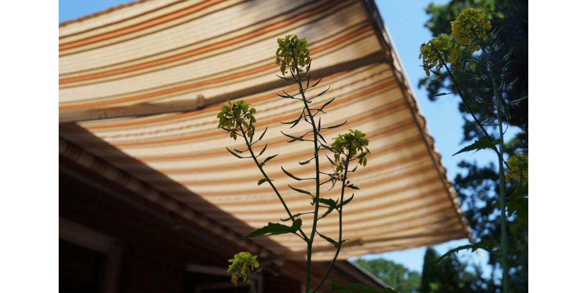 Reihenhaus Kropp - 3 Zimmer, 88 m&sup2;, 255.000&euro; | Angebot:25098075