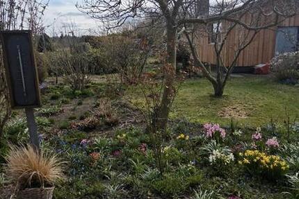 Wohnung Brodersby-Goltoft Goltoft - 3 Zimmer, 80 m&sup2;, 850&euro; | Angebot:26032336