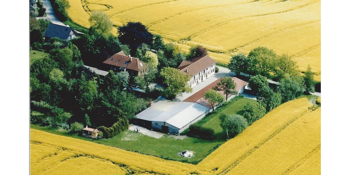 Nichts für normale Leute, wunderschönes ,offenes Wohnen in einer Dachgeschosswohnung. - Appartement Mittelangeln Alt Rehberg | Angebot:27350270