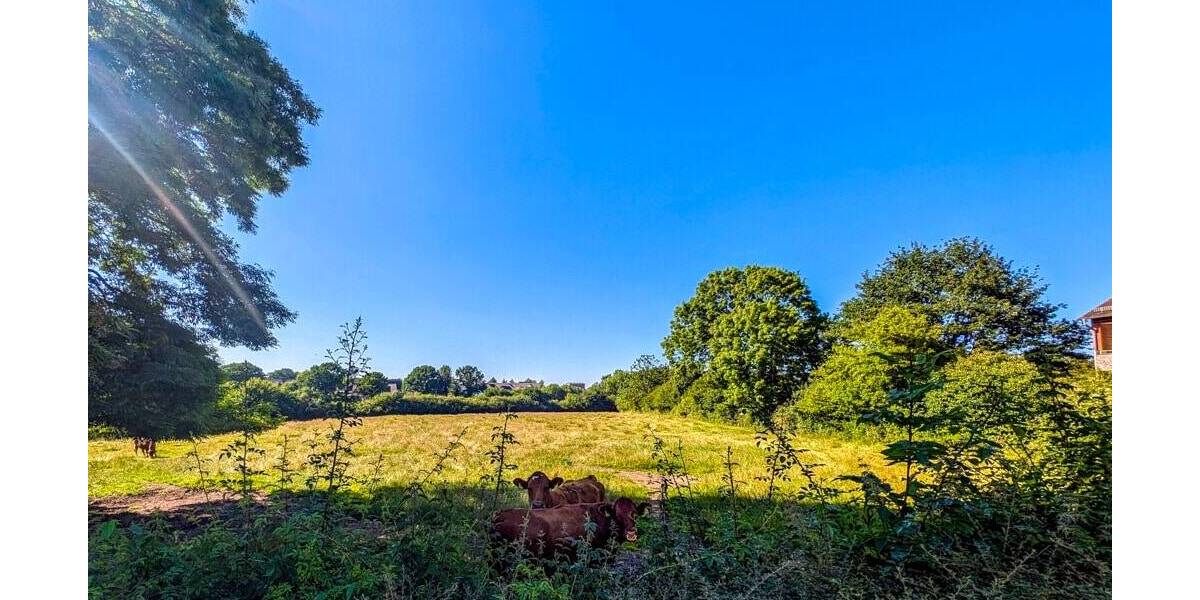 Grundstück Kappeln - 690.000&euro; | Angebot:25668443