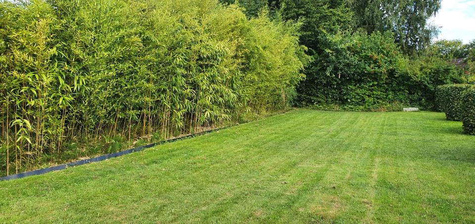 Reihenhaus Tastrup - 2 Zimmer, 77 m&sup2;, 890&euro; | Angebot:25930690