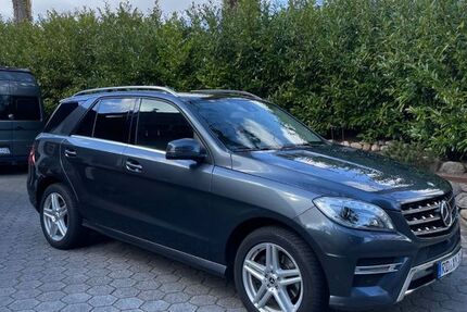 Mercedes-Benz ML 350 177.700 km 22.480 &euro; Rendsburg 24768
