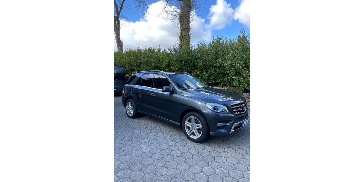 Mercedes-Benz ML 350 177.700 km 22.480 &euro; Rendsburg 24768