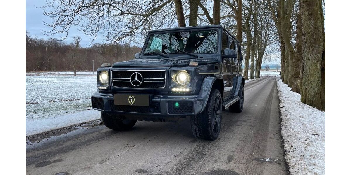 Mercedes-Benz G 350 113.500 km 64.260 &euro; Mittelangeln OT Gross Rüde 24986