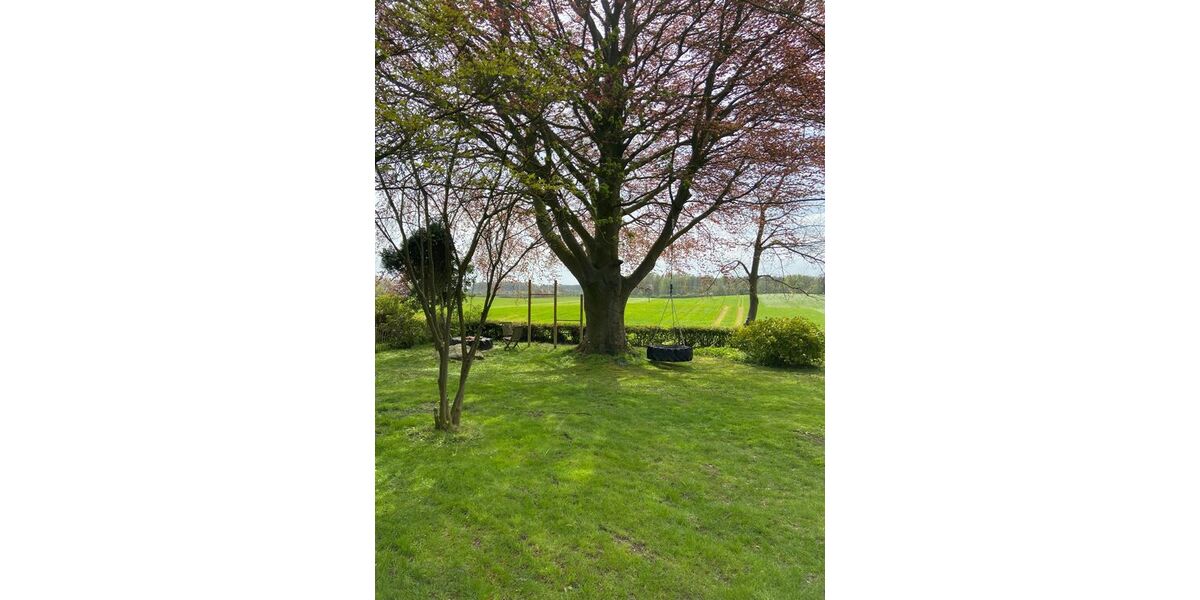 Wer hat Lust auf Natur Entspannung? Wunderschöne EG- Wohnung in Satrup - Appartement Mittelangeln Alt Rehberg | Angebot:26634001