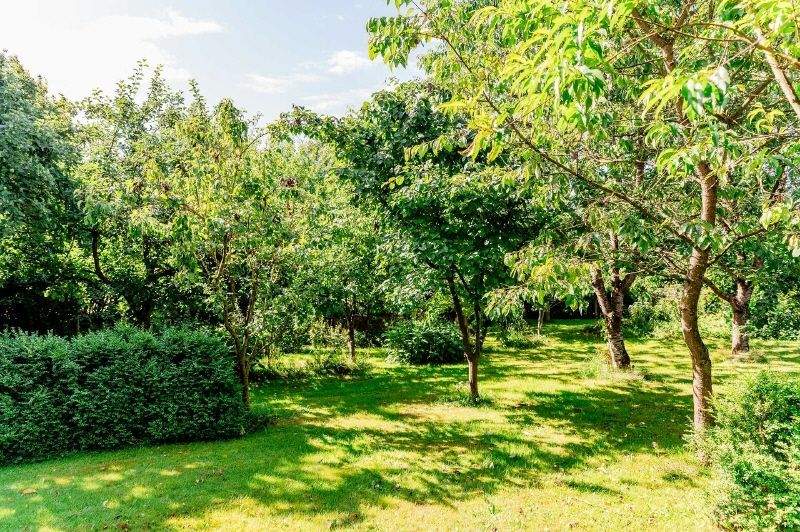 Mehrfamilienhaus, Wohnhaus Stolk - 5 Zimmer, 140 m&sup2;, 548.000&euro; | Angebot:25661139