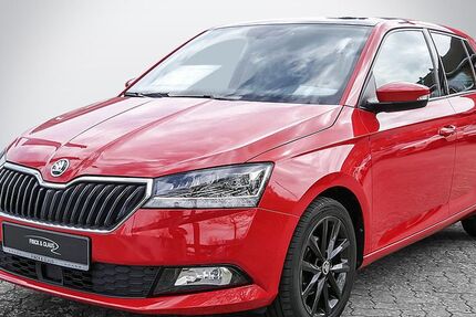 Skoda Fabia 54.000 km 15.890 &euro; Büdelsdorf 24782