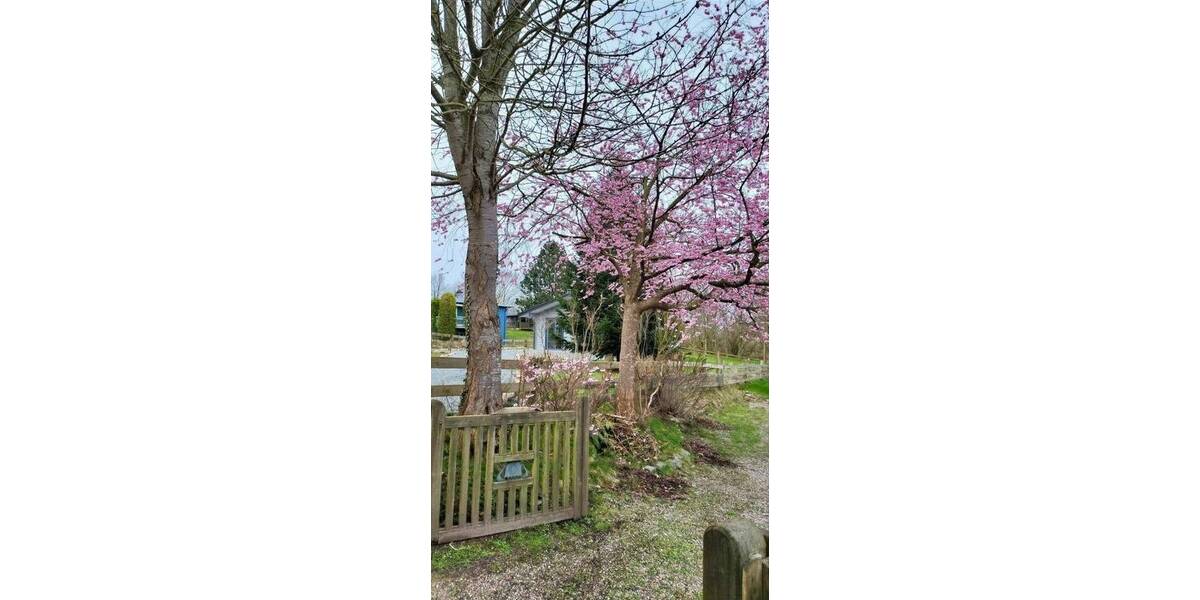 Einfamilienhaus Kosel - 4 Zimmer, 91 m&sup2;, 323.300&euro; | Angebot:25801648